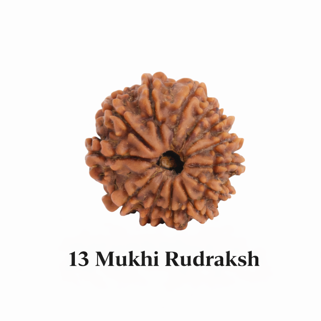 13 मुखी रुद्राक्ष – धन, आकर्षण और आत्मविश्वास बढ़ाने वाला दिव्य रत्न