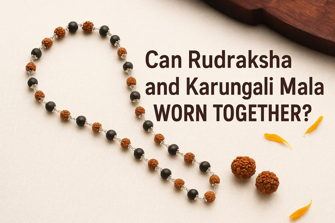 Can Karungali Mala and Rudraksha Be Worn Together? Divya Raksha Rudraksha Karungali Mala