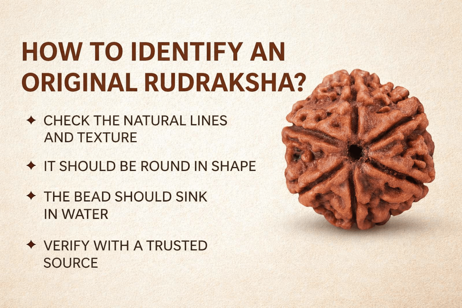 How to Identify Original Rudraksha – Complete Authenticity Guide - Astroguruji