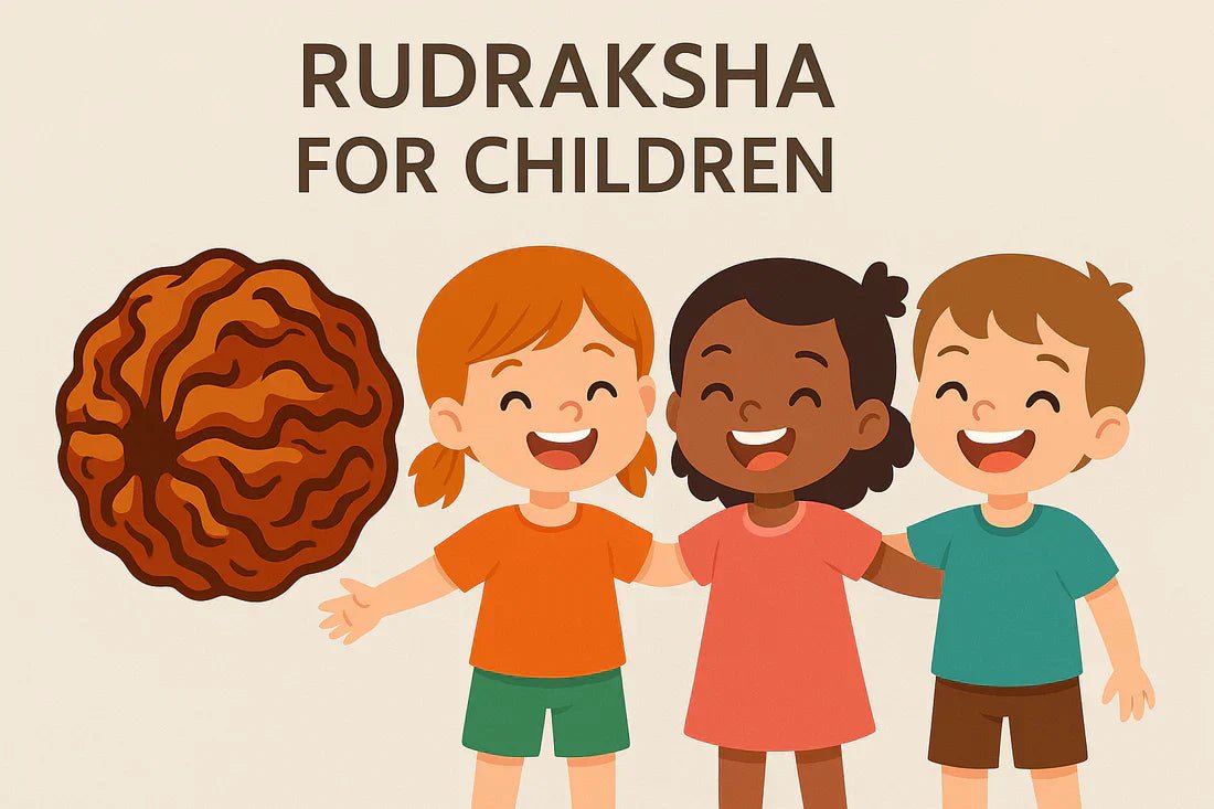 Rudraksha for Children - Astroguruji