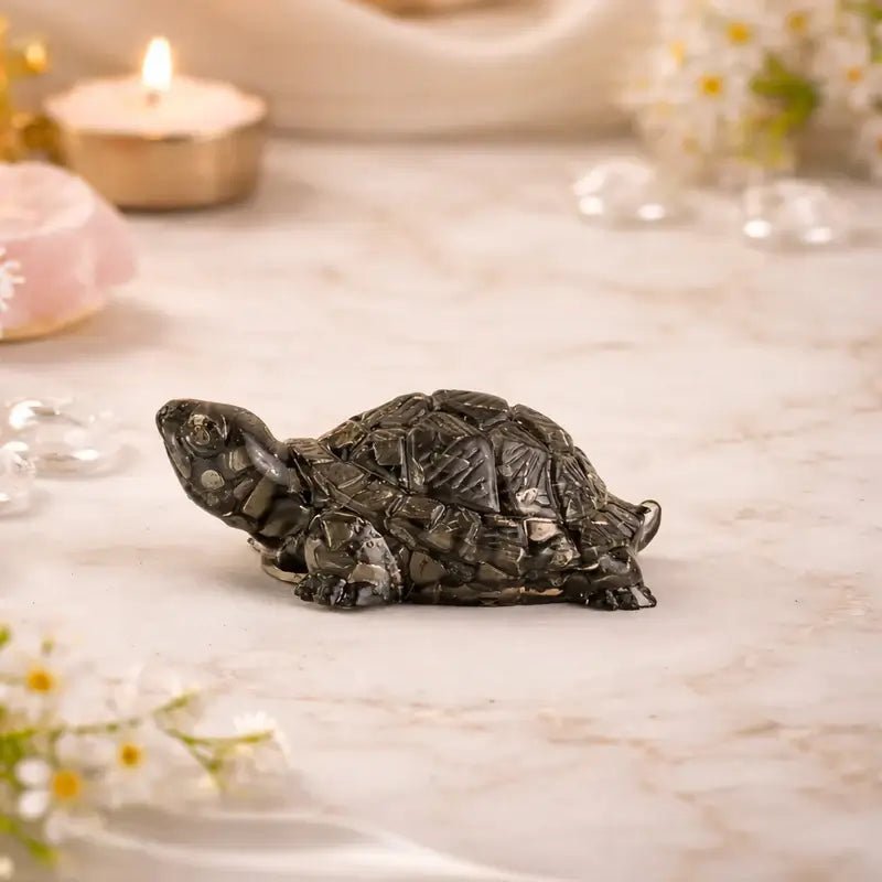 Tortoise - Astroguruji