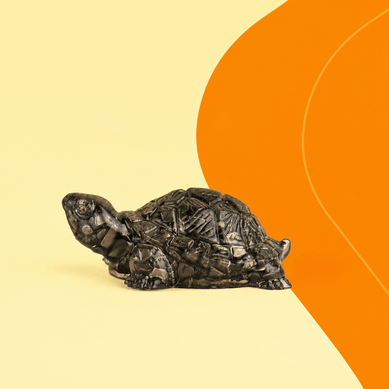 Tortoise Collection - AstroGuruji