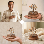 7 Chakra Dome Tree - Astroguruji