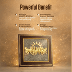 7 Horses on Raw Pyrite Frame - Astroguruji