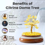 Citrine Dome Tree - Astroguruji