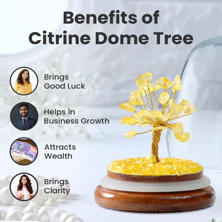 Citrine Dome Tree - Astroguruji