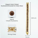 Gold Plated Rudraksha Bracelet - Astroguruji