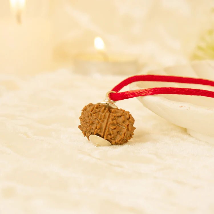 Kashi Siddh Nepal Origin 12 Mukhi Rudraksha - 17mm to 22mm - Astroguruji