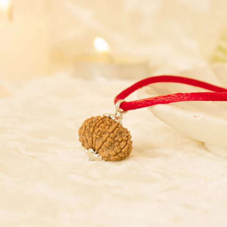 Kashi Siddh Nepal Origin 13 Mukhi Rudraksha - 17mm to 22mm - Astroguruji