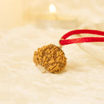 Kashi Siddh Nepal Origin 8 Mukhi Rudraksha - 17mm to 22mm - Astroguruji