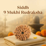 Kashi Siddh Nepal Origin 9 Mukhi Rudraksha - 17mm to 22mm - Astroguruji