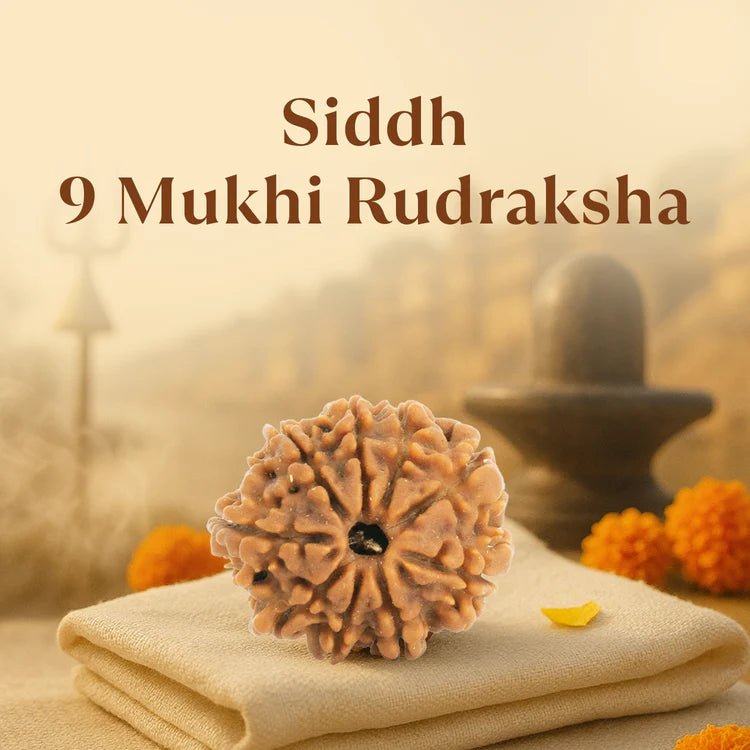 Kashi Siddh Nepal Origin 9 Mukhi Rudraksha - 17mm to 22mm - Astroguruji