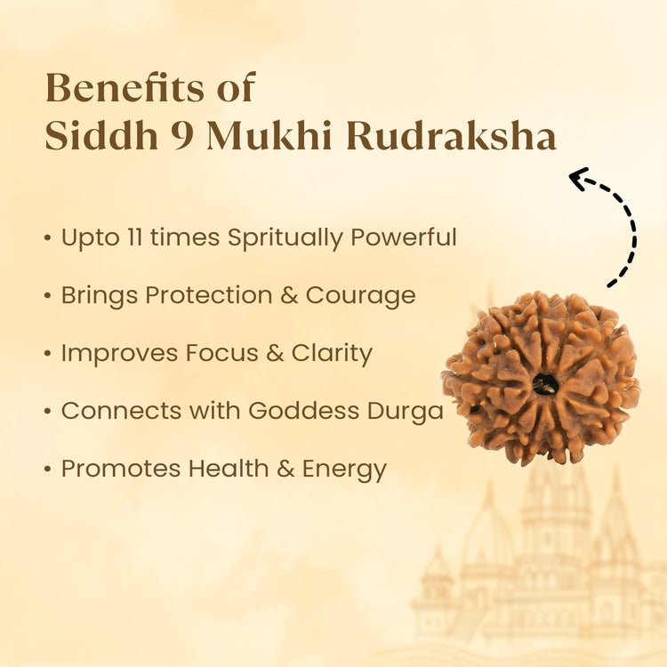 Kashi Siddh Nepal Origin 9 Mukhi Rudraksha - 17mm to 22mm - Astroguruji