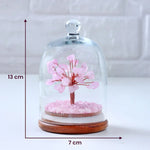 Love Attraction Dome Tree - Astroguruji