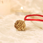 Nepal Origin 1 Mukhi Rudraksha - 17mm to 22mm - Astroguruji