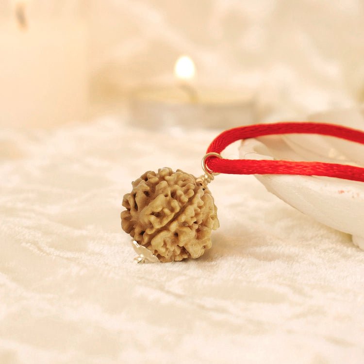 Nepal Origin 1 Mukhi Rudraksha - 17mm to 22mm - Astroguruji