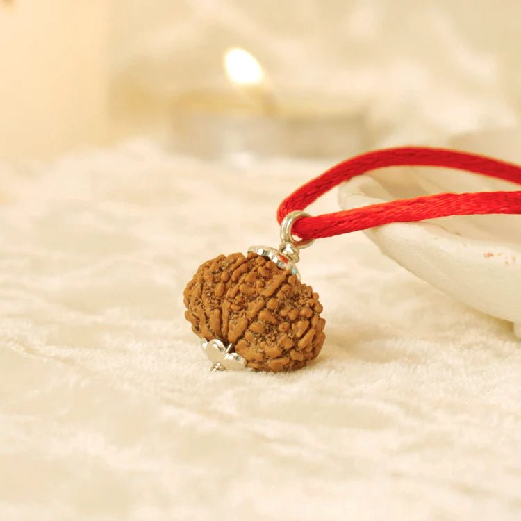 Nepal Origin 10 Mukhi Rudraksha - 17mm to 22mm - Astroguruji