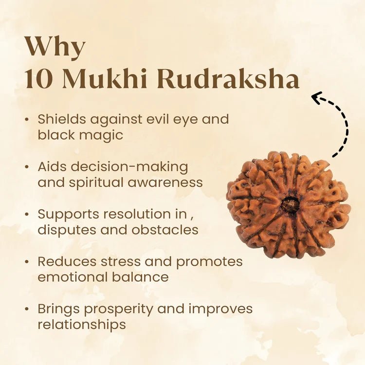 Nepal Origin 10 Mukhi Rudraksha - 17mm to 22mm - Astroguruji