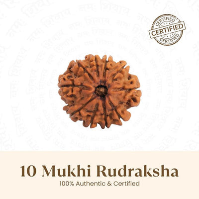 10 Mukhi