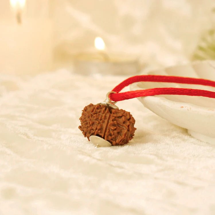 Nepal Origin 12 Mukhi Rudraksha - 17mm to 22mm - Astroguruji