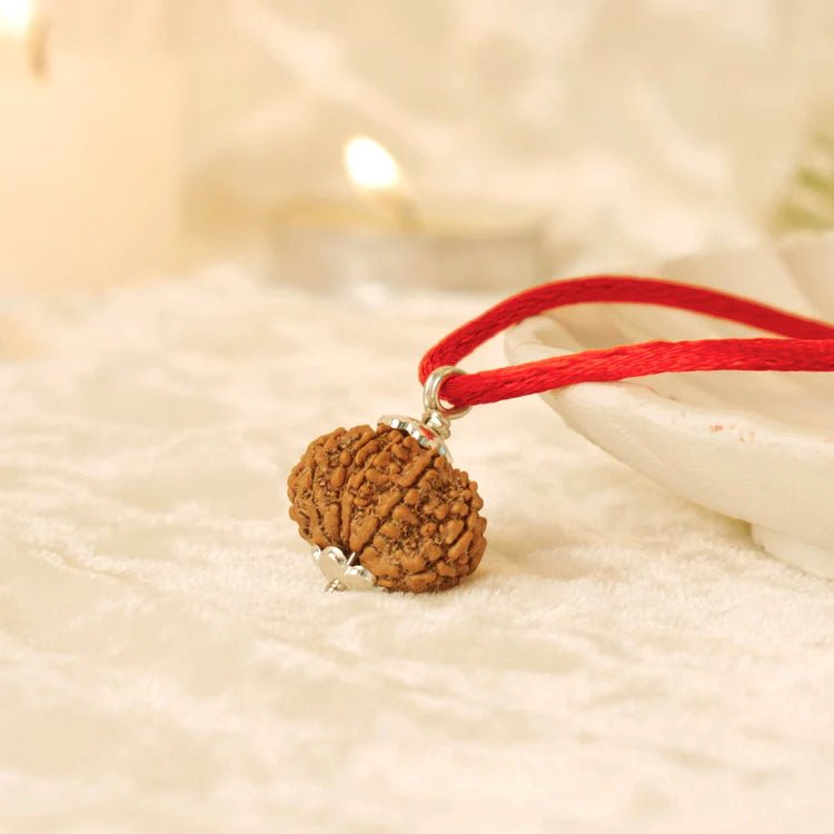 Nepal Origin 13 Mukhi Rudraksha - 17mm to 22mm - Astroguruji