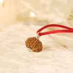 Nepal Origin 13 Mukhi Rudraksha - 17mm to 22mm - Astroguruji