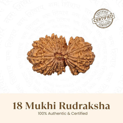 18 Mukhi