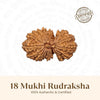 Nepal Origin 18 Mukhi Rudraksha - 17mm to 22mm
