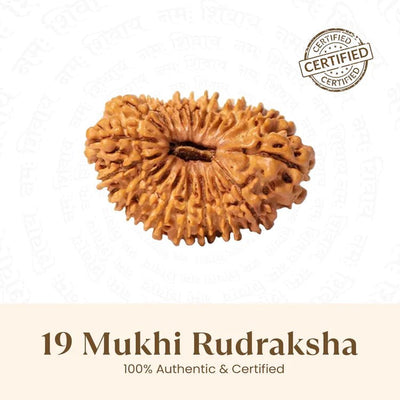 19 Mukhi