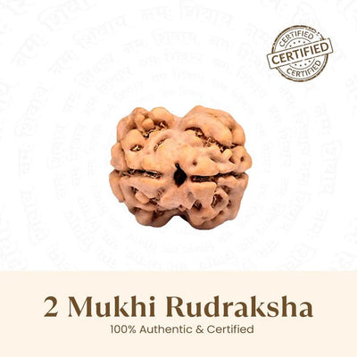 2 Mukhi