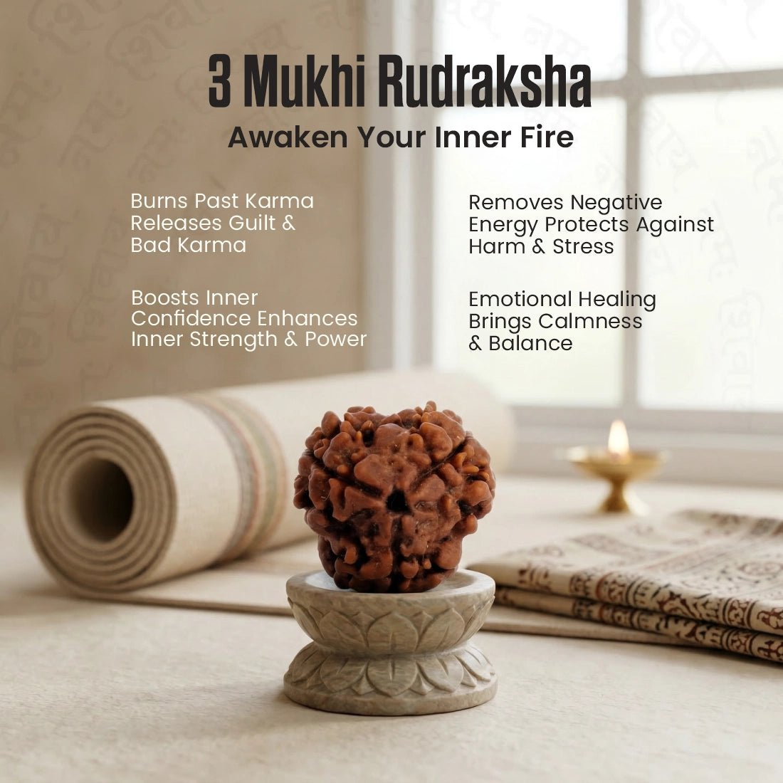 Nepal Origin 3 Mukhi Rudraksha - 17mm to 22mm - Astroguruji