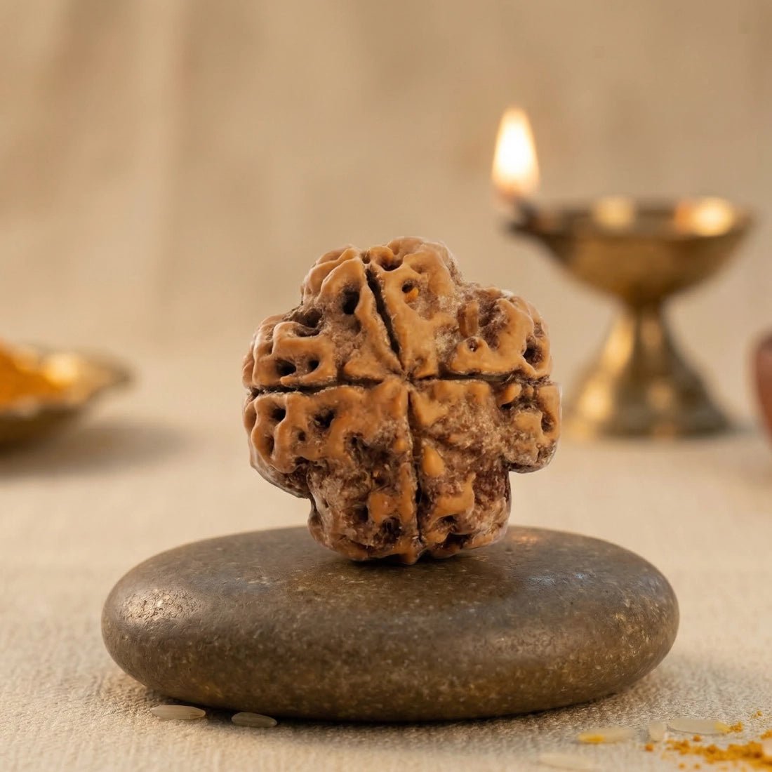 Nepal Origin 4 Mukhi Rudraksha - 17mm to 22mm - Astroguruji
