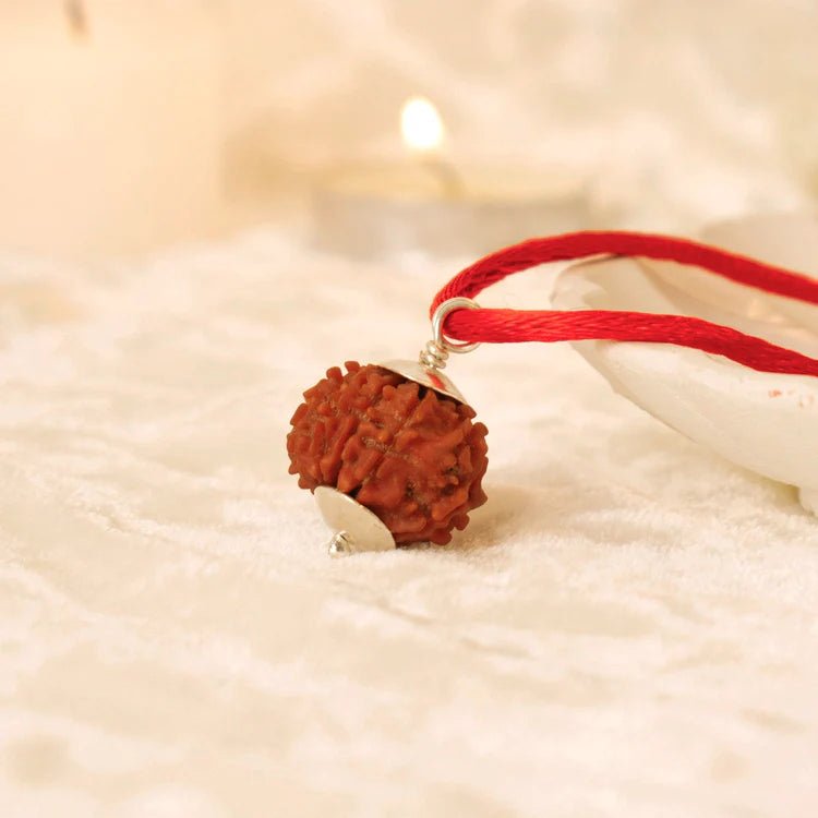 Nepal Origin 5 Mukhi Rudraksha - 17mm to 22mm - Astroguruji