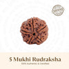 Nepal Origin 5 Mukhi Rudraksha - 17mm to 22mm - Astroguruji