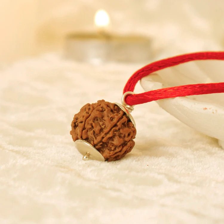 Nepal Origin 6 Mukhi Rudraksha - 17mm to 22mm - Astroguruji