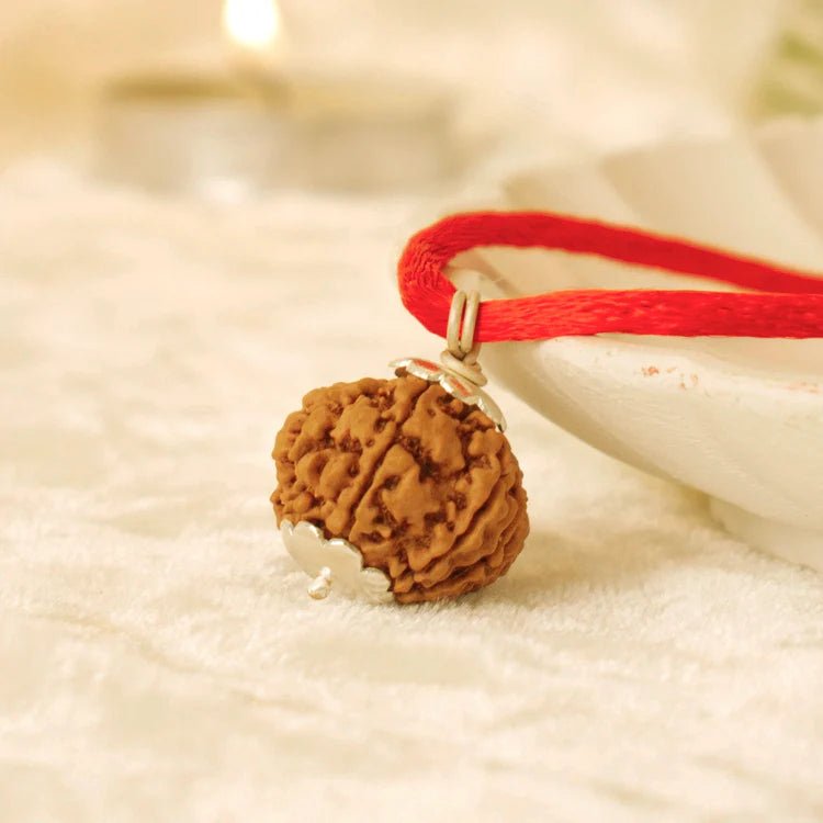 Nepal Origin 7 Mukhi Rudraksha - 17mm to 22mm - Astroguruji