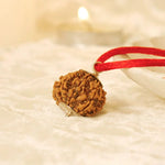 Nepal Origin 8 Mukhi Rudraksha - 17mm to 22mm - Astroguruji