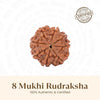 Nepal Origin 8 Mukhi Rudraksha - 17mm to 22mm