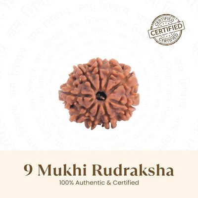 9 Mukhi