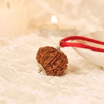 Nepal Origin 9 Mukhi Rudraksha - 17mm to 22mm - Astroguruji