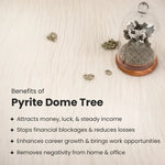 Pyrite Dome Tree - Astroguruji