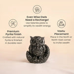 Pyrite Owl - AstroGuruji