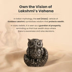 Pyrite Owl - AstroGuruji