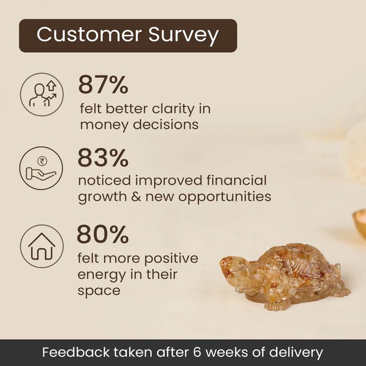 Vastu Citrine Tortoise (Kachhua) - Astroguruji