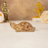 Vastu Citrine Tortoise (Kachhua)