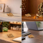 Vastu Citrine Tortoise (Kachhua) - Astroguruji