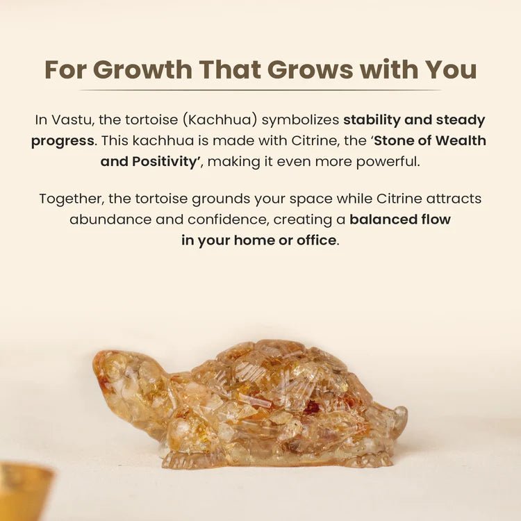 Vastu Citrine Tortoise (Kachhua) - Astroguruji