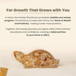 Vastu Citrine Tortoise (Kachhua) - Astroguruji