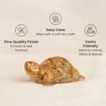 Vastu Citrine Tortoise (Kachhua) - Astroguruji
