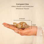 Vastu Citrine Tortoise (Kachhua) - Astroguruji